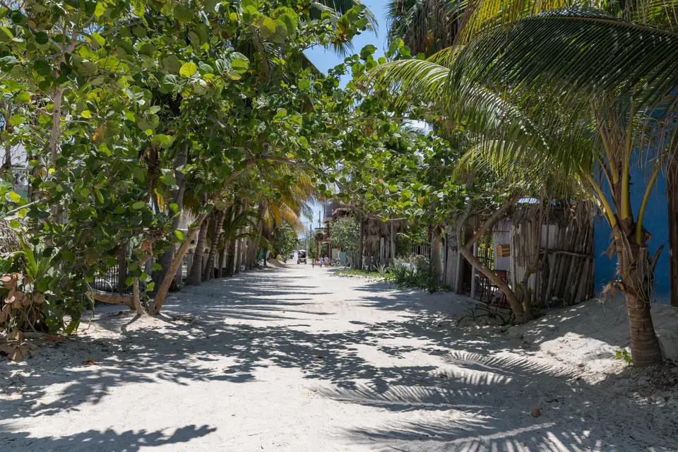 Calle de arena bajo las palmeras en Holbox